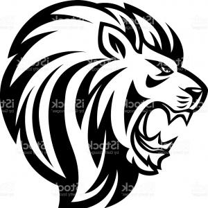 300x300 Simple Lion Head Cool Gm Arenawp