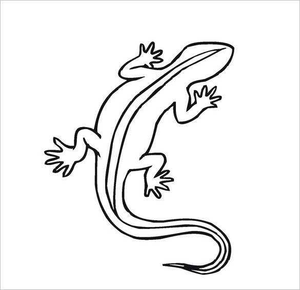 Simple Lizard Drawing