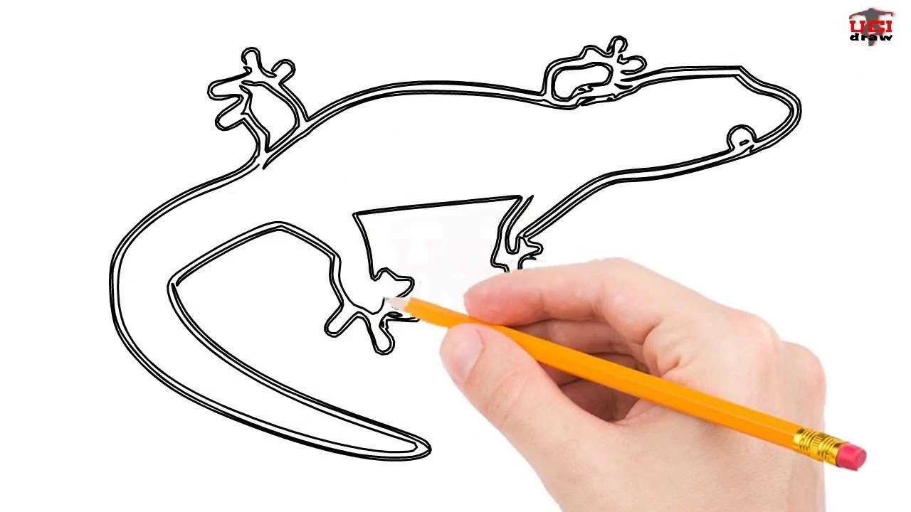 1280x720 How To Draw A Lizard Step