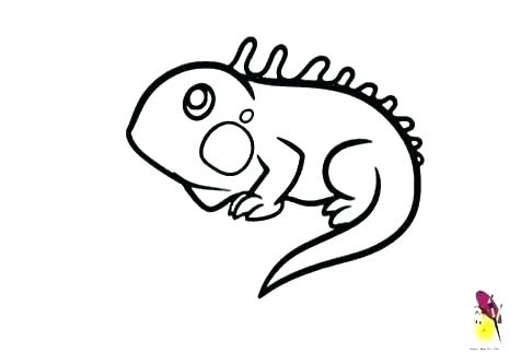 476x333 Lizard Coloring Pages Frilled The Amazing Spider Man Gecko Simple