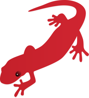 309x340 newt drawing simple transparent png clipart free download