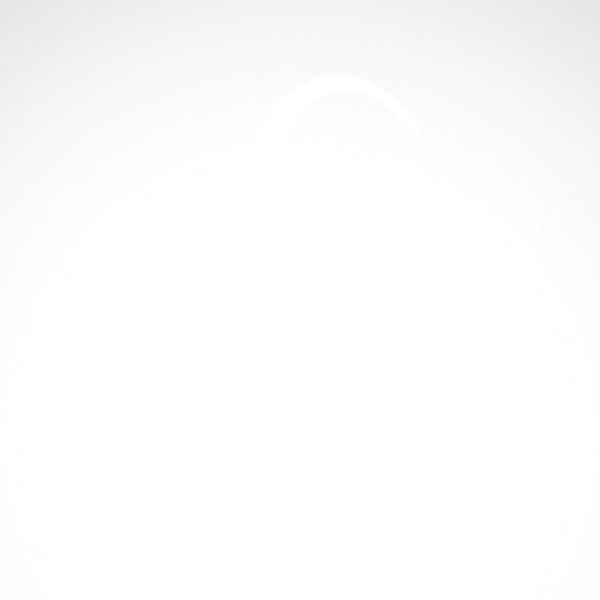 600x600 Simple Color Vinyl Gecko Lizard Stickers Factory