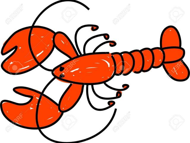 640x480 Free Drawn Lobster, Download Free Clip Art