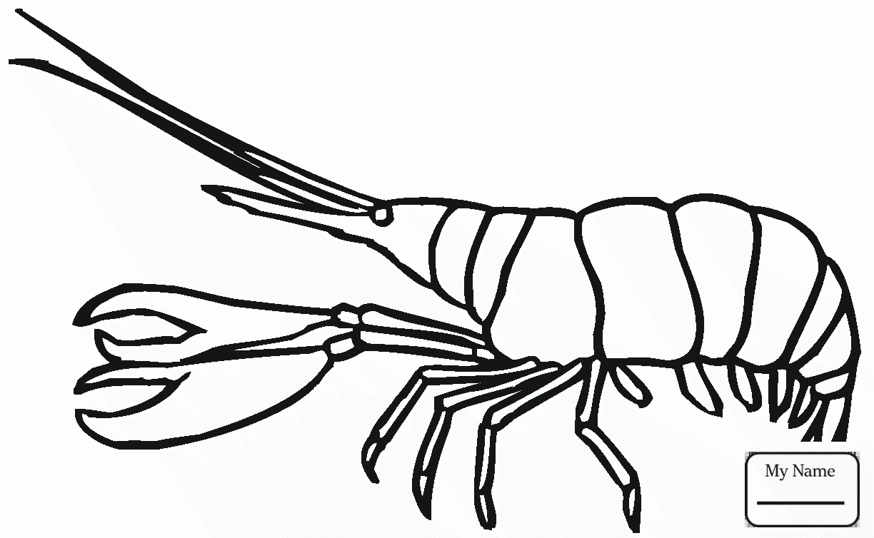 1224x754 Collection Of 'lobster Drawing For Kids' Download More Than
