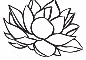300x210 Lotus Flower Drawing Simple Simple Lotus Flower Drawing