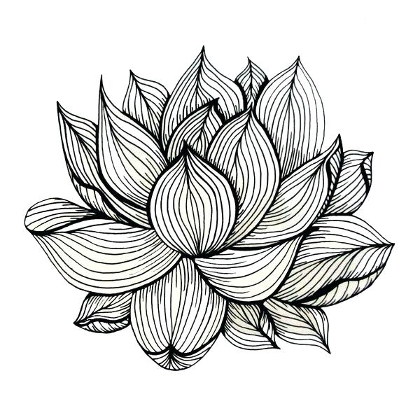 600x600 Simple Lotus Drawing Simple Line Lotus Flower Black And White