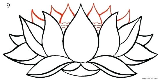 550x277 Simple Lotus Drawing Simple Line Lotus Flower Black And White