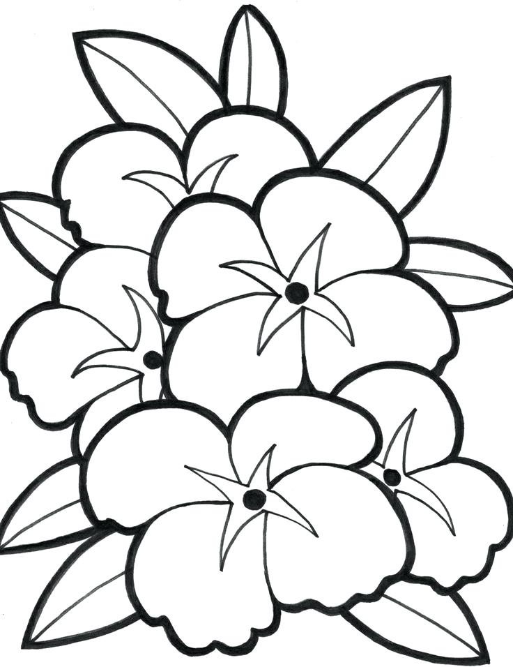 736x956 Easy Flower Coloring Pages Spectacular Idea Coloring Pages Draw