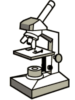 150x200 How To Use The Microscope