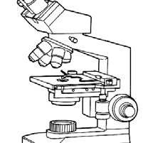 Simple Microscope Drawing | Free download on ClipArtMag