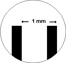 264x254 molecular make up of cells cells the basic units of life siyavula