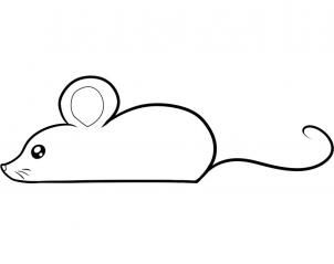 302x239 Cute Mouse Drawing