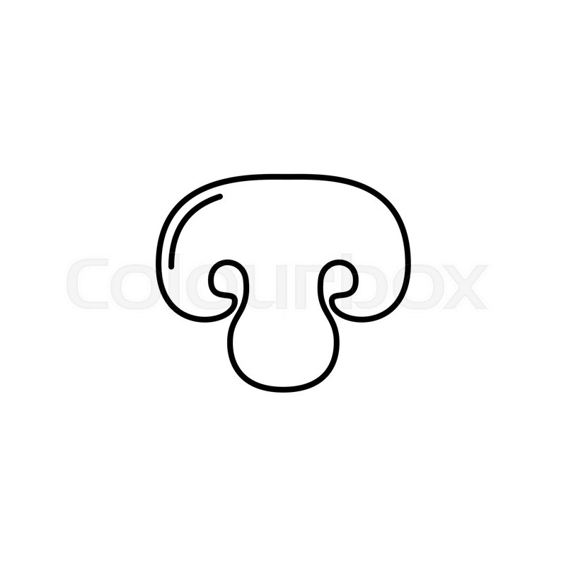 800x800 Champignon Thin Line Vector Icon Stock Vector Colourbox