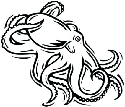 423x362 Octopus Drawing Ideas