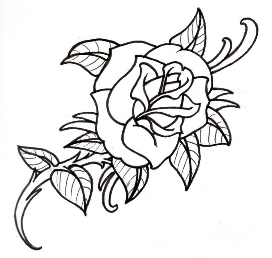 900x855 Traditional Rose Outlines Old School Rose Outline