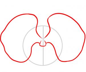 302x251 How To Draw An Orchid, Step