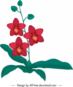 309x368 Orchid Free Vector Download