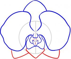 302x251 how to draw an orchid art crafts drawings, orchid drawing