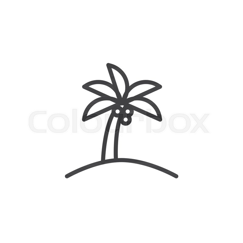 800x800 Palm Tree Outline Icon Linear Style Stock Vector Colourbox