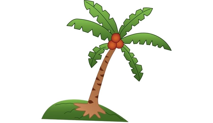 900x520 Palm Trees Drawings Palm Trees Drawings X Palm Tree Drawings