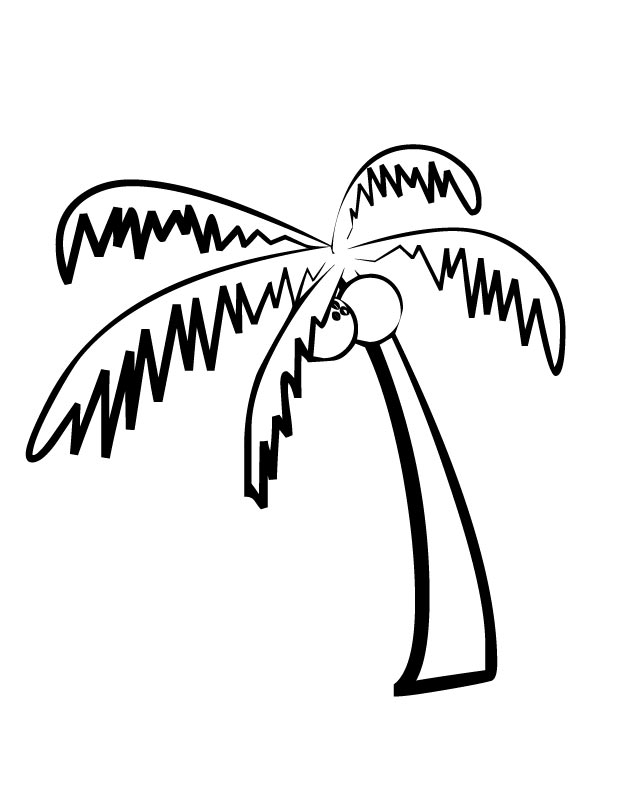 630x810 Simple Coconut Tree Clipart Realistic Palm Tree Clip Art Png