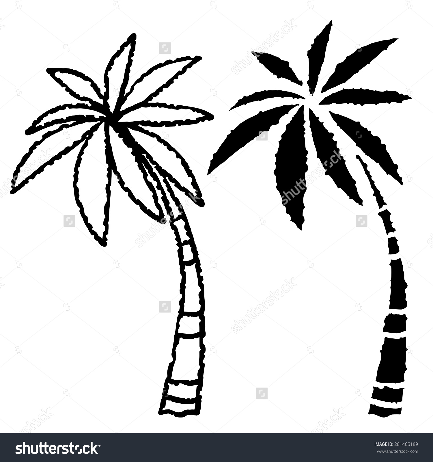1500x1600 Simple Palm Tree Drawing Drawn Palm Tree Simple