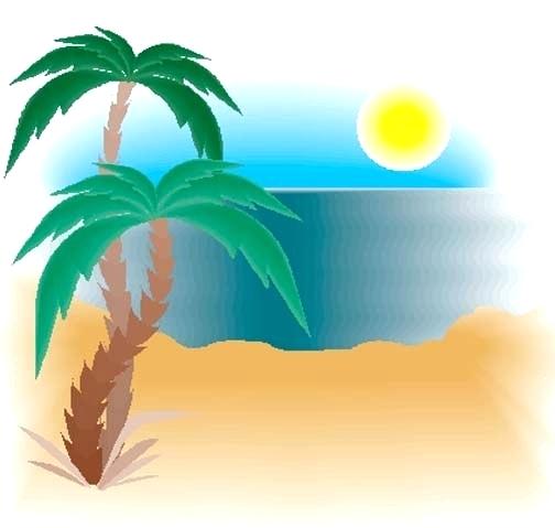 504x479 How To Draw A Simple Palm Tree
