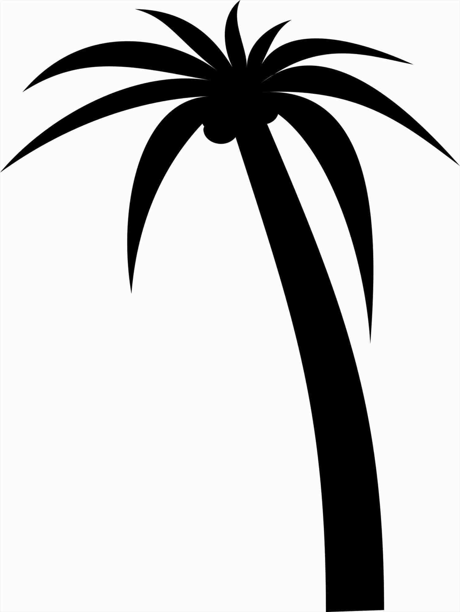 1500x1993 Simple Palm Tree Drawing