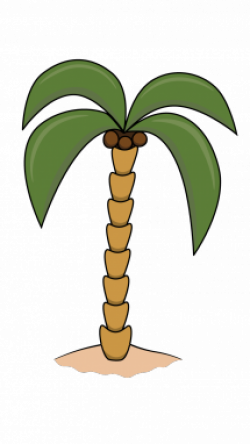 250x444 Drawing Tree Simple, Picture