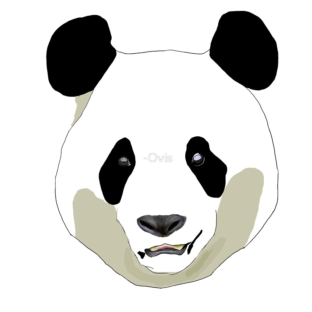 1000x1000 Panda Simple Drawing