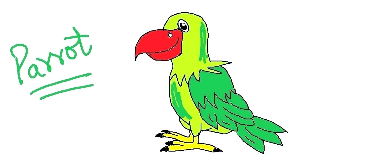 1359x540 Easy To Draw Parrot How To Draw Parrots Drawn Parrot Easy Draw