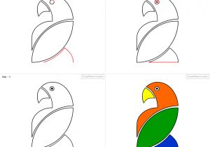 300x210 Parrot Picture Drawing Steps How To Draw A Parrot Stepstep How