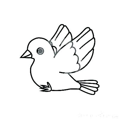 400x400 Drawing Of Parrot For Kids