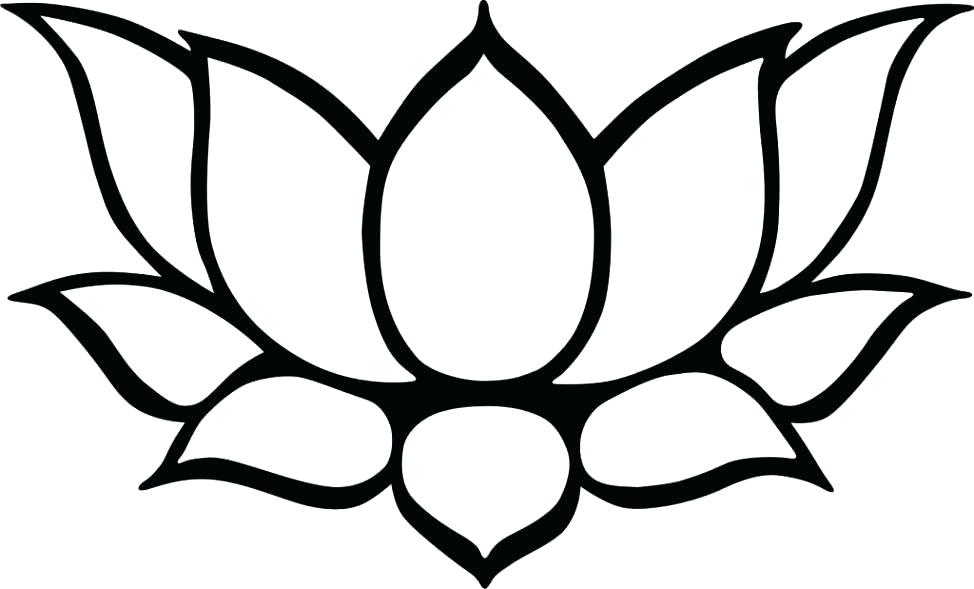 974x589 Flower To Draw Easy