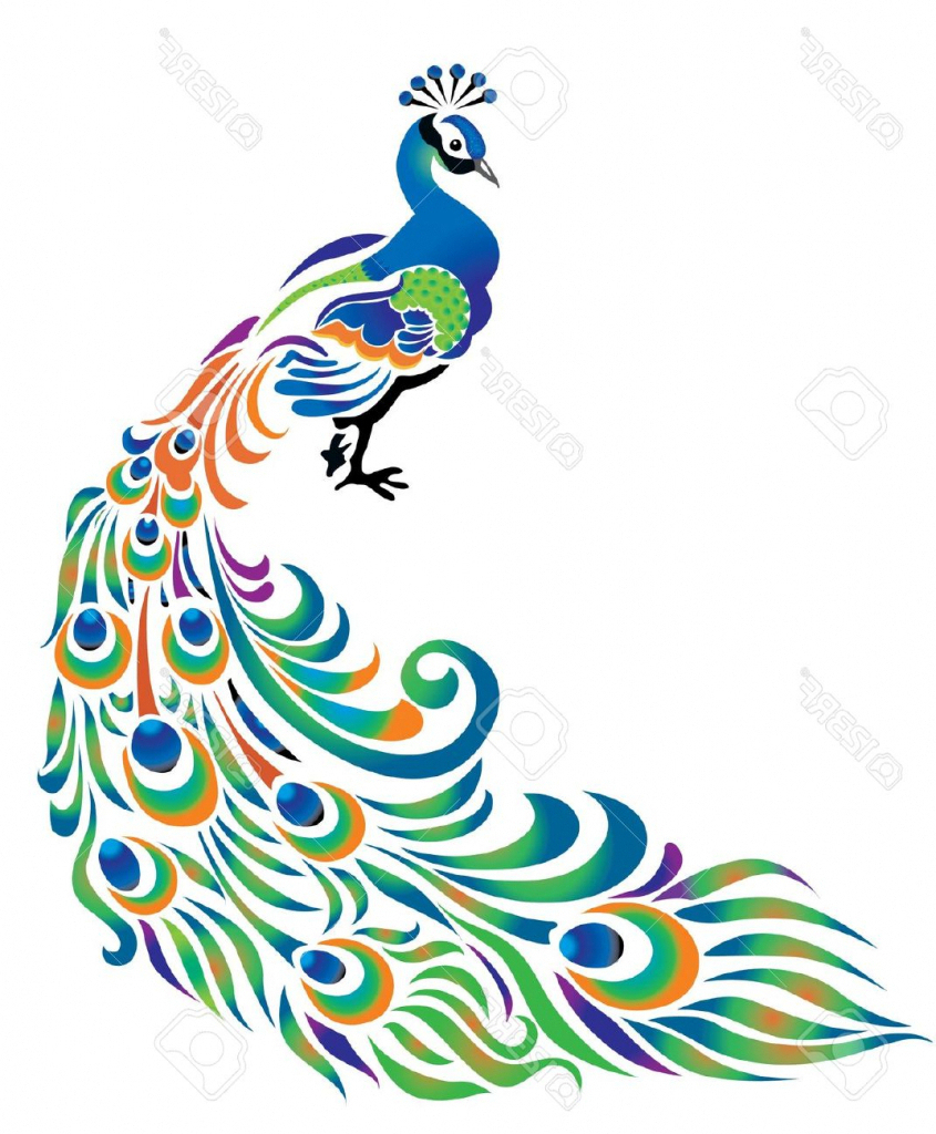 845x1024 Simple Colorful Drawing Drawing Peacock Pictures How To Draw