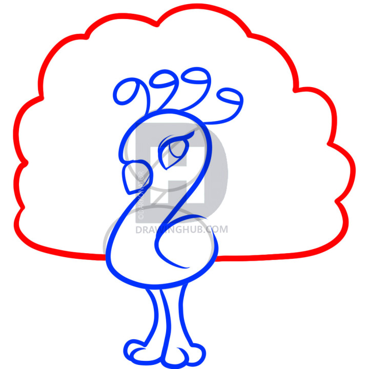 720x720 How To Draw A Peacock For Kids, Step