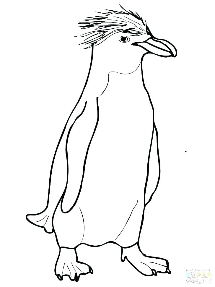 728x971 Simple Pictures To Colour Penguins Simple Coloring Pages