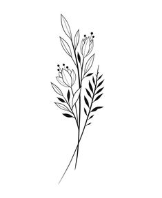 235x288 Best Simple Line Drawings Images In Doodles, Paint