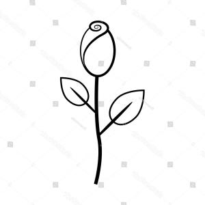 300x300 Peony Flower Leaves Line Drawing Vector Hand Drawn Outline Floral