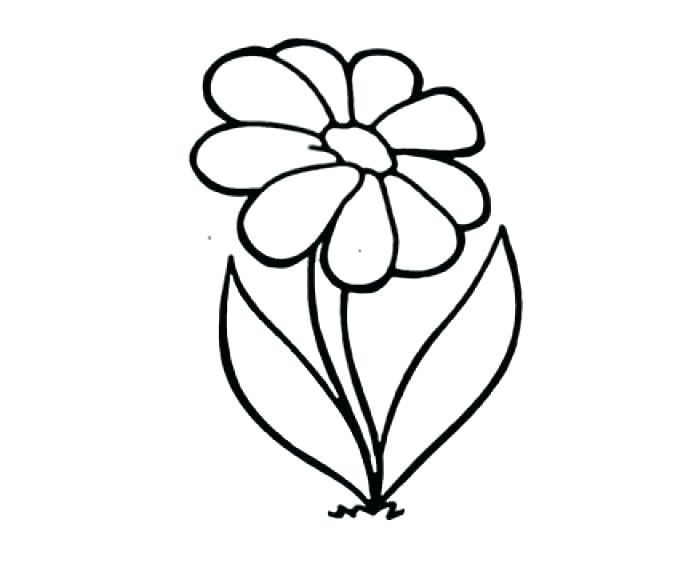 678x576 Simple Flowers Drawing Flower Drawings Outline Beautiful Of Hearts