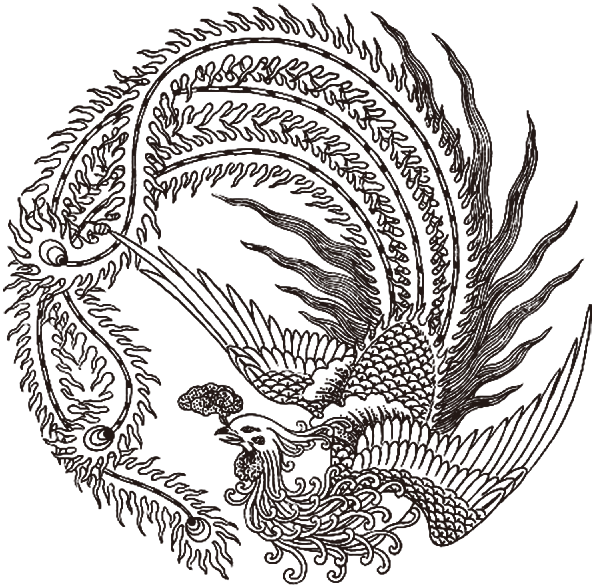 2083x2050 Collection Of Free Phoenix Drawing Dragon Download On Ui Ex