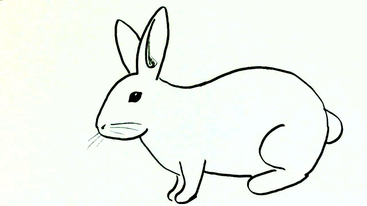 1280x720 How To Draw A Rabbit Or Bunny In Easy Steps For Children