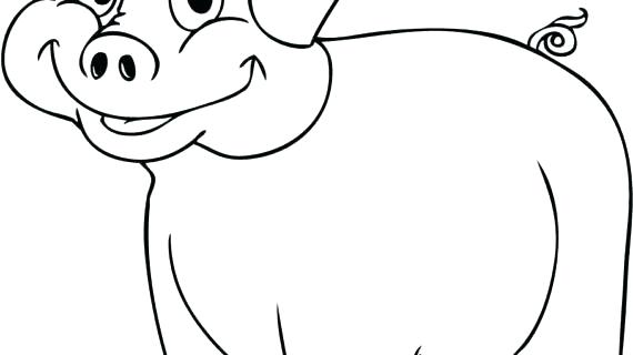 570x320 How To Draw A Easy Pig How To Draw A Simple Pig Step Easy Way