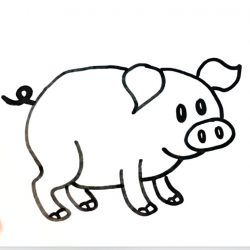 250x250 Pig Drawing Easy Face Simple Pencil Peppa And Colouring Realistic