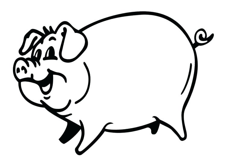 756x547 Baby Pig Drawing