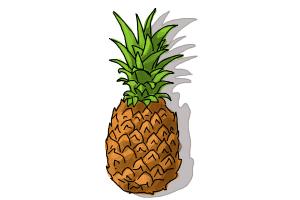 300x200 How To Draw A Pine Tree