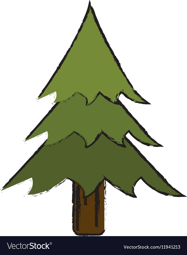 794x1080 Huge Collection Of 'pine Tree Drawing' Download More Than