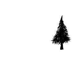 266x190 Image Result For Pine Tree Sketch Minimal Bytown Tree Art