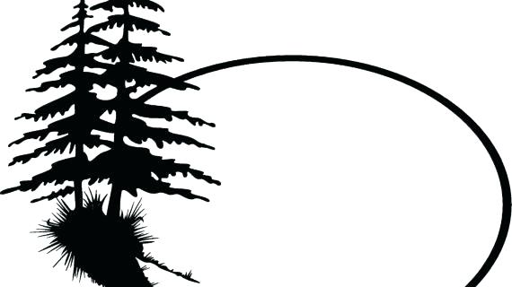 570x320 Tree Outline Clip Art Download Pine