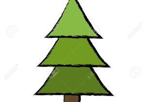 300x210 Drawing Pine Trees Simple Pine Tree Drawing At Getdrawings Free